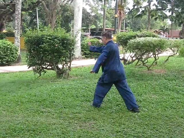 Wu Yu Xiang Style Taijiquan